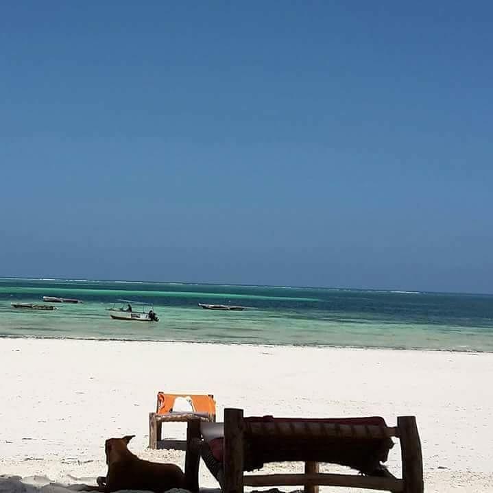 Sipano Beach Lodge Kiwengwa  Ngoại thất bức ảnh
