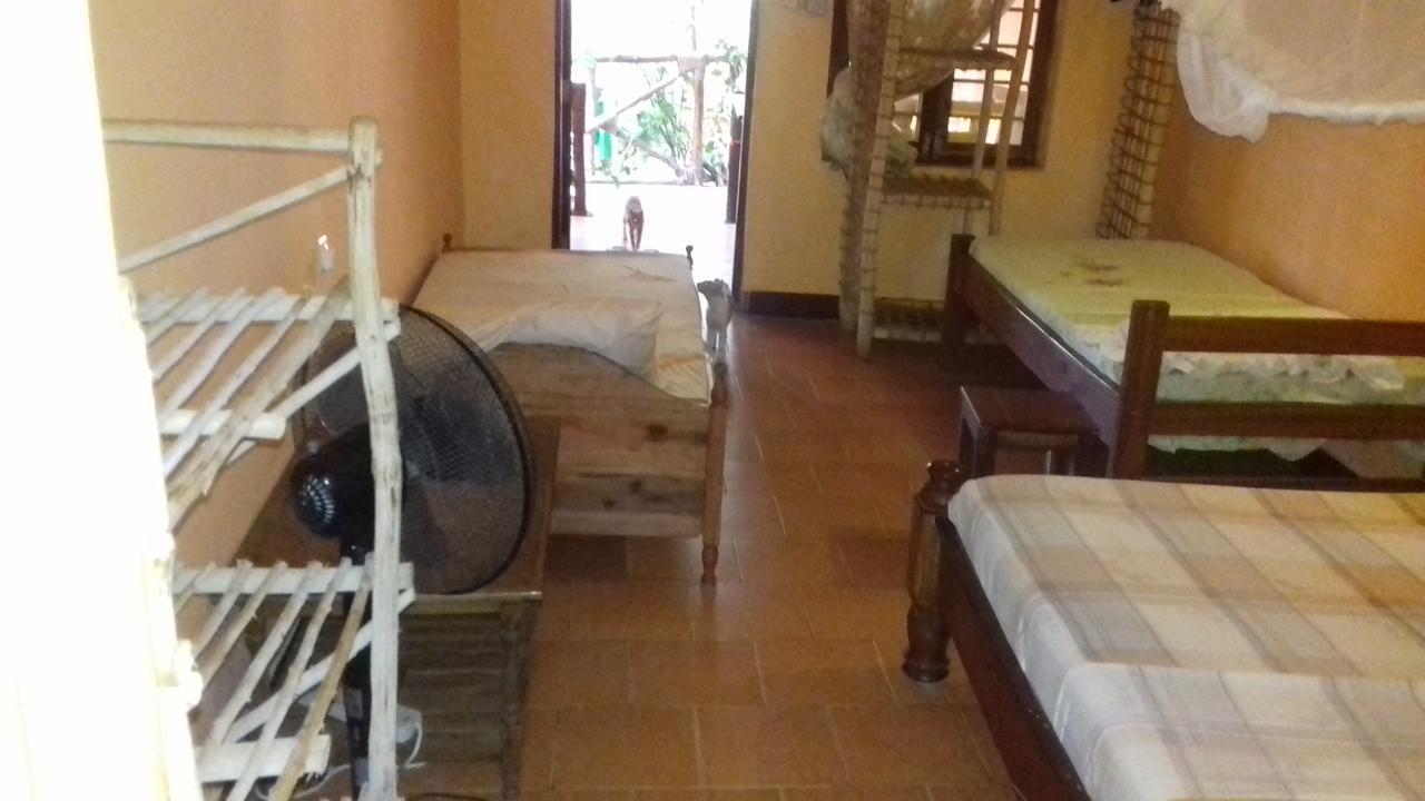 Sipano Beach Lodge Kiwengwa  Ngoại thất bức ảnh