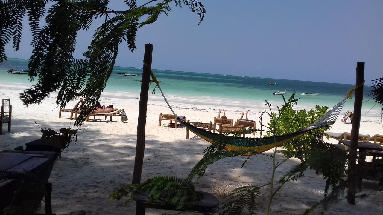Sipano Beach Lodge Kiwengwa  Ngoại thất bức ảnh