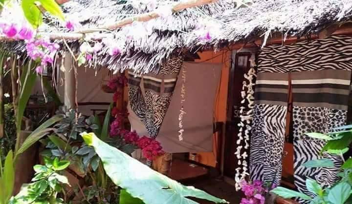 Sipano Beach Lodge Kiwengwa  Phòng bức ảnh