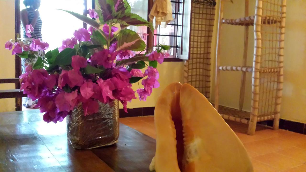 Sipano Beach Lodge Kiwengwa  Ngoại thất bức ảnh